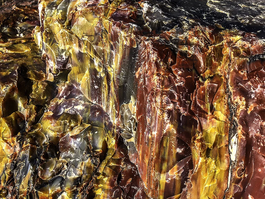 Petrified Forest National Park — Adventures from Arizona to Alberta
